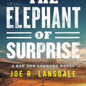 Elephant of Surprise