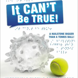 DK Braille: It Can't Be True