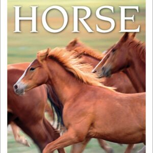 DK Eyewitness Books: Horse