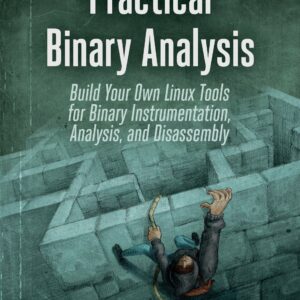 Practical Binary Analysis