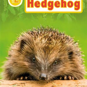 DK Readers Level 2: Hello Hedgehog