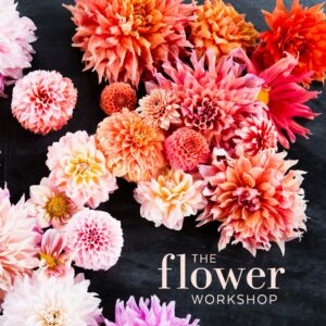 The Flower Workshop