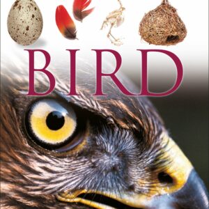 DK Eyewitness Books: Bird