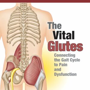 The Vital Glutes