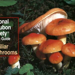 National Audubon Society Pocket Guide: Familiar Mushrooms