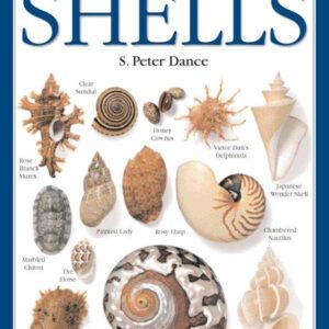 Shells : Smithsonian Handbooks