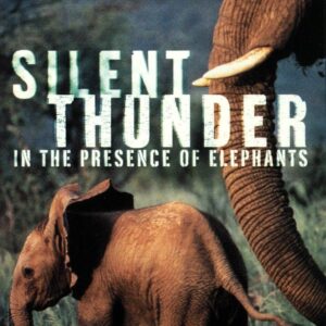 Silent Thunder
