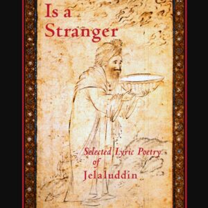 Love Is a Stranger