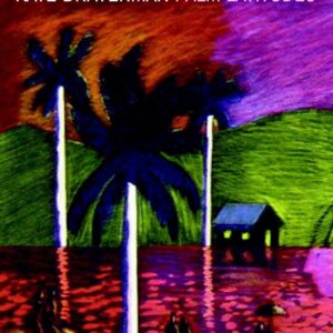Palm Latitudes