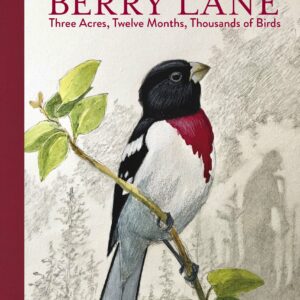 Birder on Berry Lane