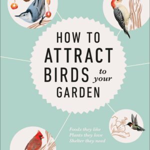 How to Attract Birds to Your Garden