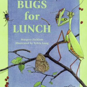 Bugs for Lunch