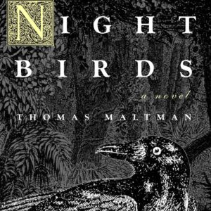 The Night Birds