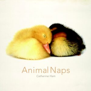 Animal Naps