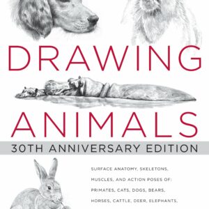 Drawing Animals