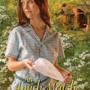 An Amish Match on Ice Mountain