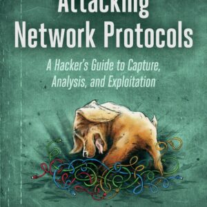 Attacking Network Protocols