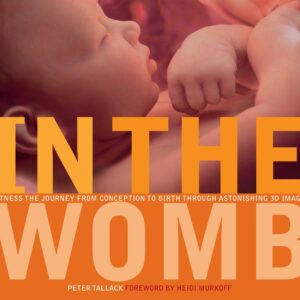 In the Womb
