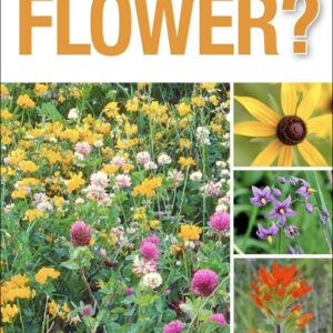 What's that Flower?