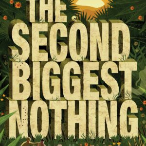 The Second Biggest Nothing