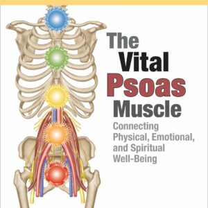 The Vital Psoas Muscle