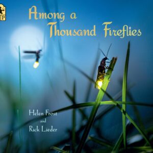 Among A Thousand Fireflies