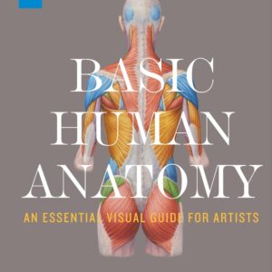 Basic Human Anatomy