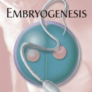 Embryogenesis