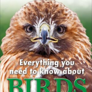 Everything You Need to Know About Birds