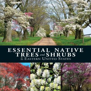 Essential Native Trees and Shrubs for the Eastern United States