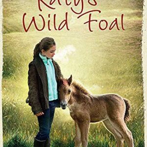 Katy's Exmoor Ponies: Katy's Wild Foal