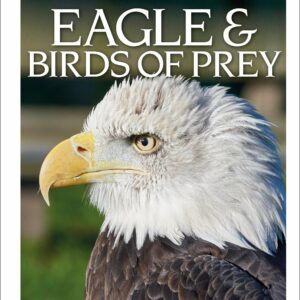 DK Eyewitness Books: Eagle and Birds of Prey