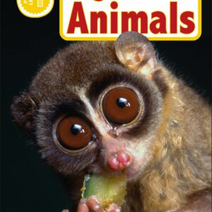 DK Readers L0: Nighttime Animals