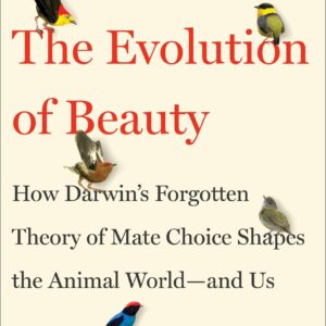 The Evolution of Beauty