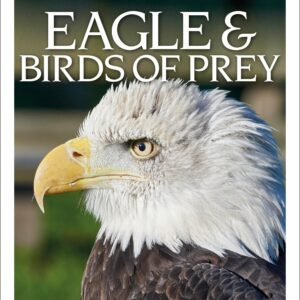 DK Eyewitness Books: Eagle and Birds of Prey