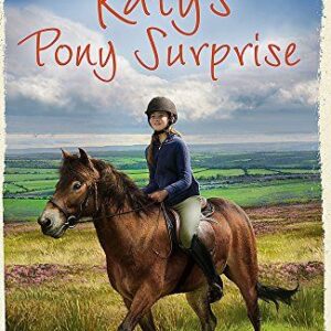 Katy's Exmoor Ponies: Katy's Pony Surprise