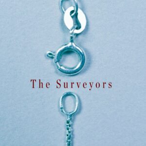 The Surveyors