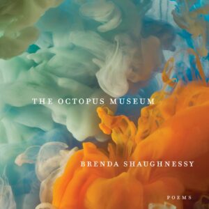 The Octopus Museum