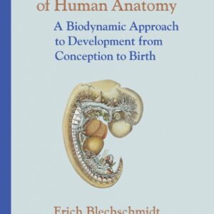 The Ontogenetic Basis of Human