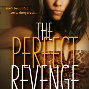The Perfect Revenge