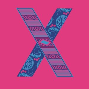 X : Sky Burial : Penguin Drop