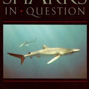 Sharks in Question