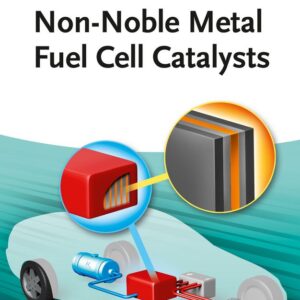 Non-Noble Metal Fuel Cell Catalysts