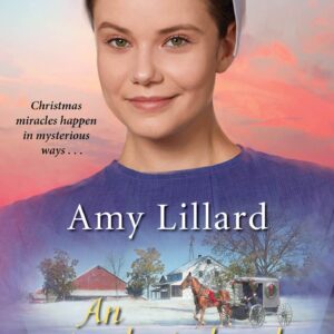 An Amish Husband for Tillie