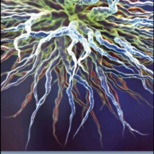 Characterization and Analysis of Polymers