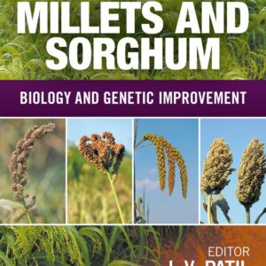 Millets and Sorghum
