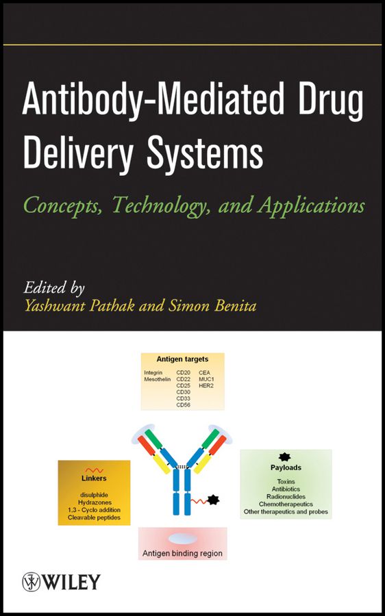 Antibody-Mediated Drug Delivery Systems