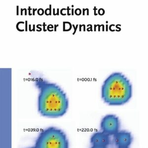 Introduction to Cluster Dynamics