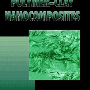 Polymer-Clay Nanocomposites