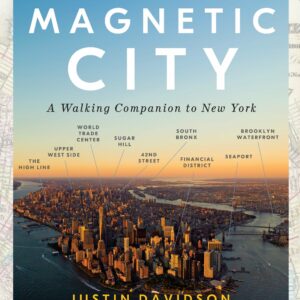 Magnetic City